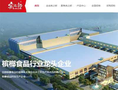 網(wǎng)站建設(shè)案例